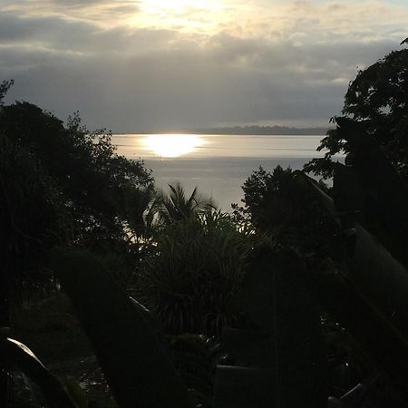 Bed and Breakfast Dolphin Bay Hideaway Bocas del Toro Exterior foto