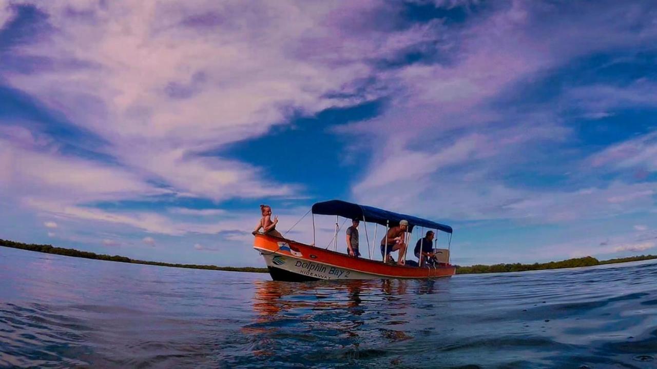 Bed and Breakfast Dolphin Bay Hideaway Bocas del Toro Exterior foto
