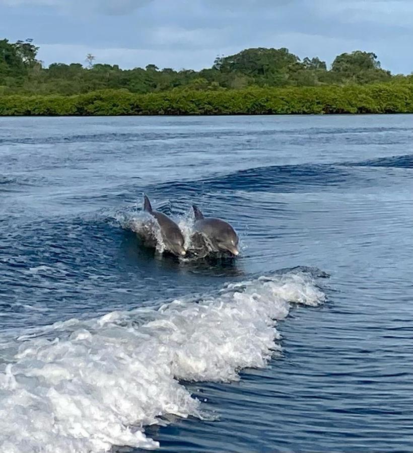 Bed and Breakfast Dolphin Bay Hideaway Bocas del Toro Exterior foto
