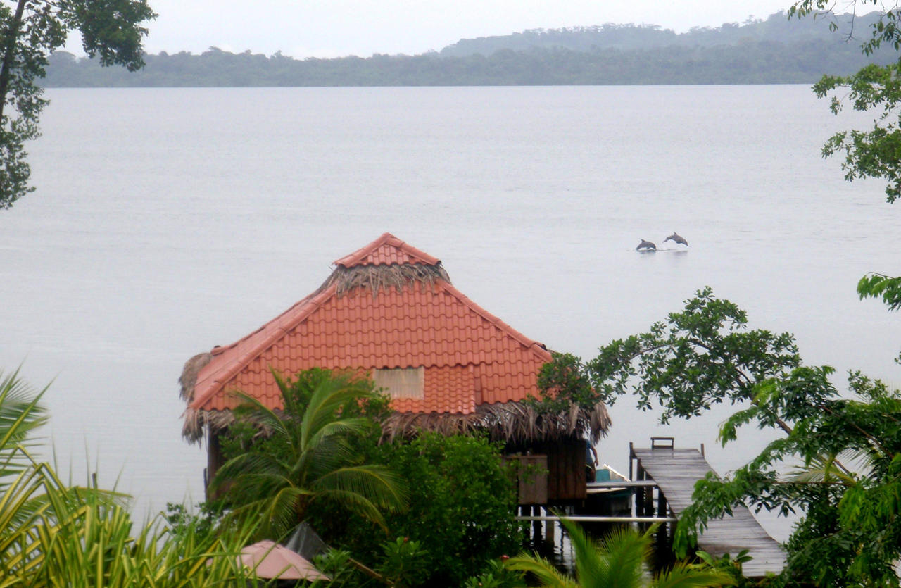 Bed and Breakfast Dolphin Bay Hideaway Bocas del Toro Exterior foto