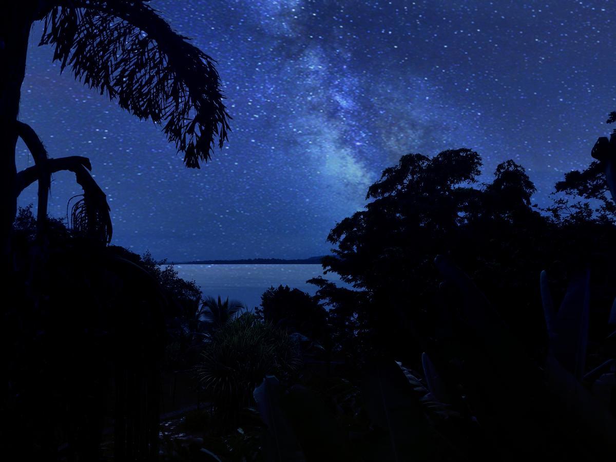 Bed and Breakfast Dolphin Bay Hideaway Bocas del Toro Exterior foto