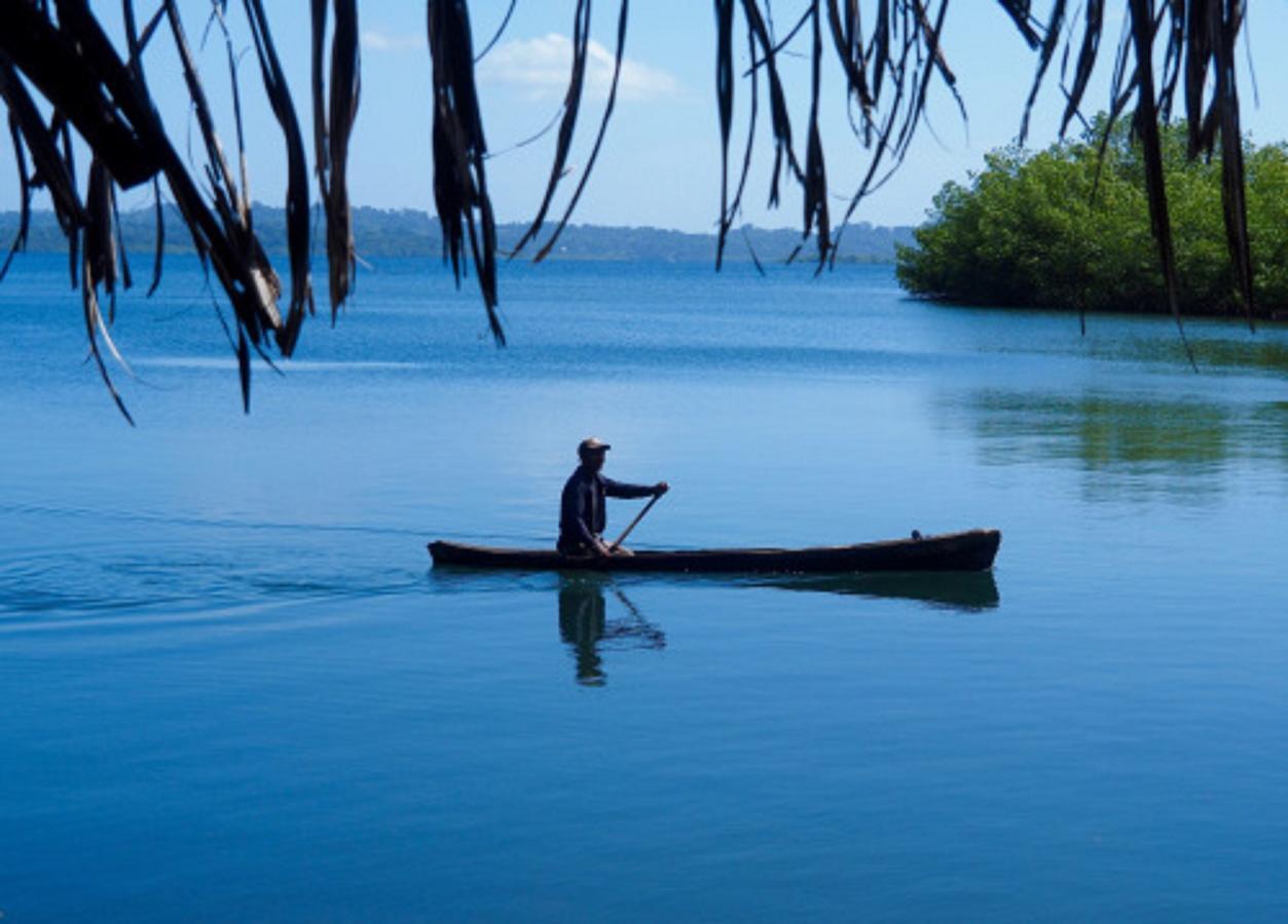 Bed and Breakfast Dolphin Bay Hideaway Bocas del Toro Exterior foto