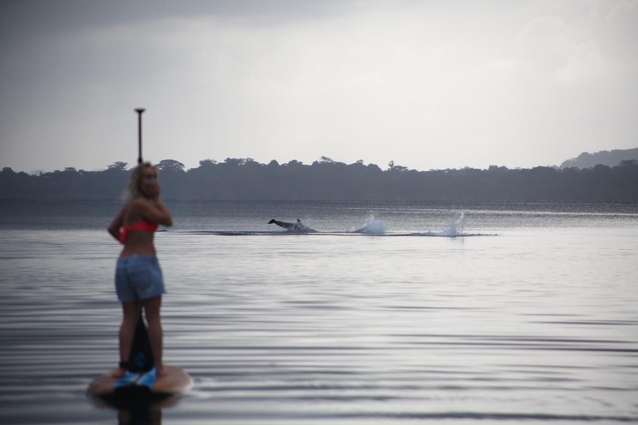 Bed and Breakfast Dolphin Bay Hideaway Bocas del Toro Exterior foto