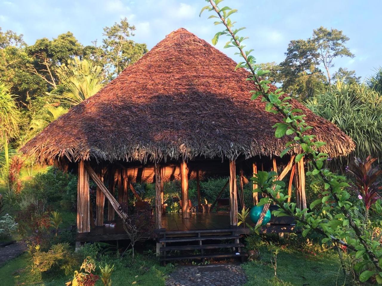 Bed and Breakfast Dolphin Bay Hideaway Bocas del Toro Exterior foto