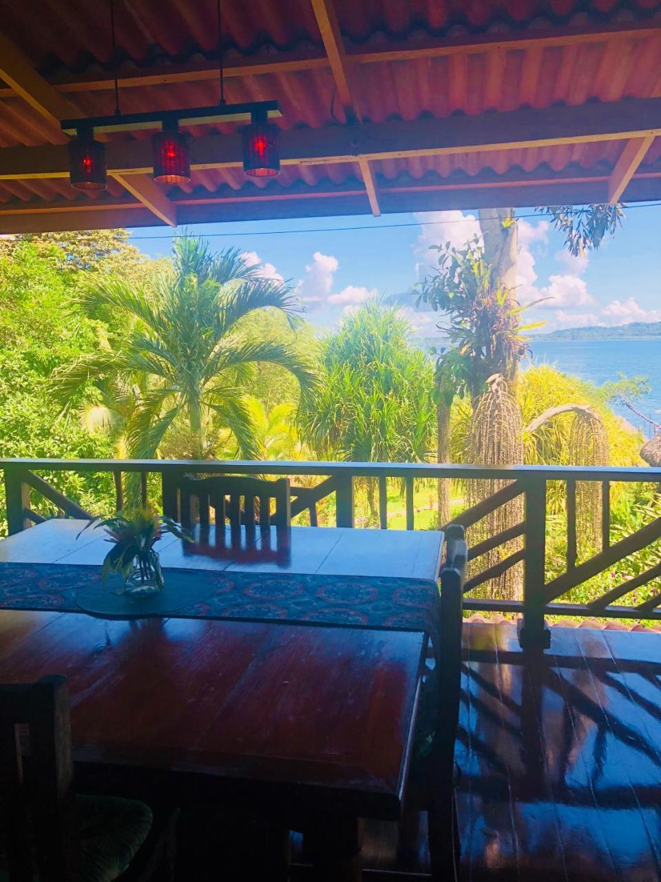 Bed and Breakfast Dolphin Bay Hideaway Bocas del Toro Exterior foto