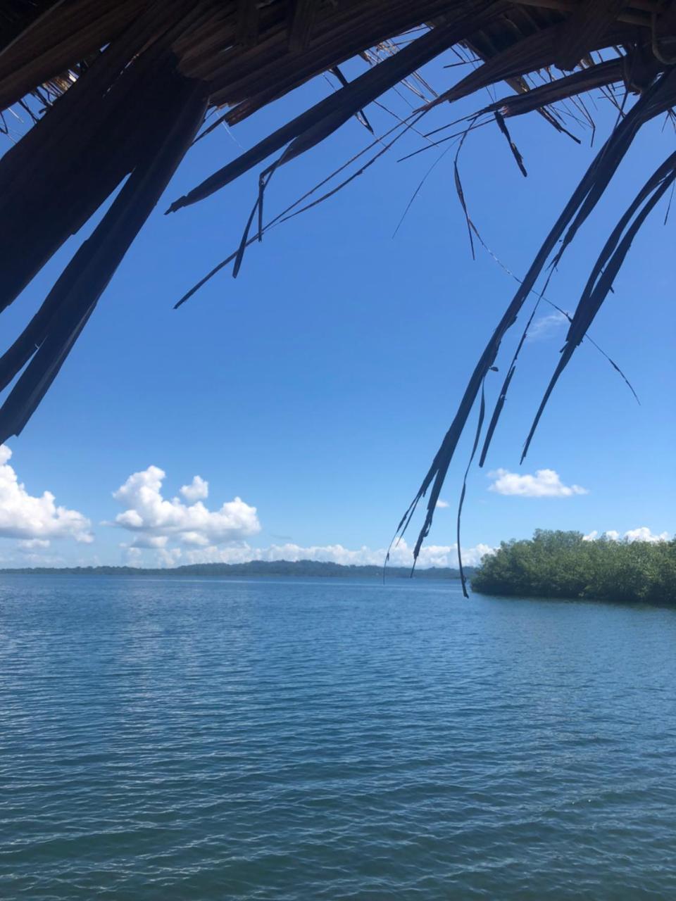 Bed and Breakfast Dolphin Bay Hideaway Bocas del Toro Exterior foto