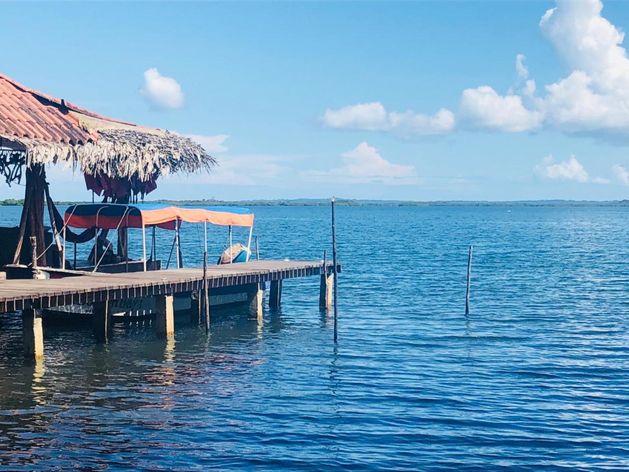Bed and Breakfast Dolphin Bay Hideaway Bocas del Toro Exterior foto