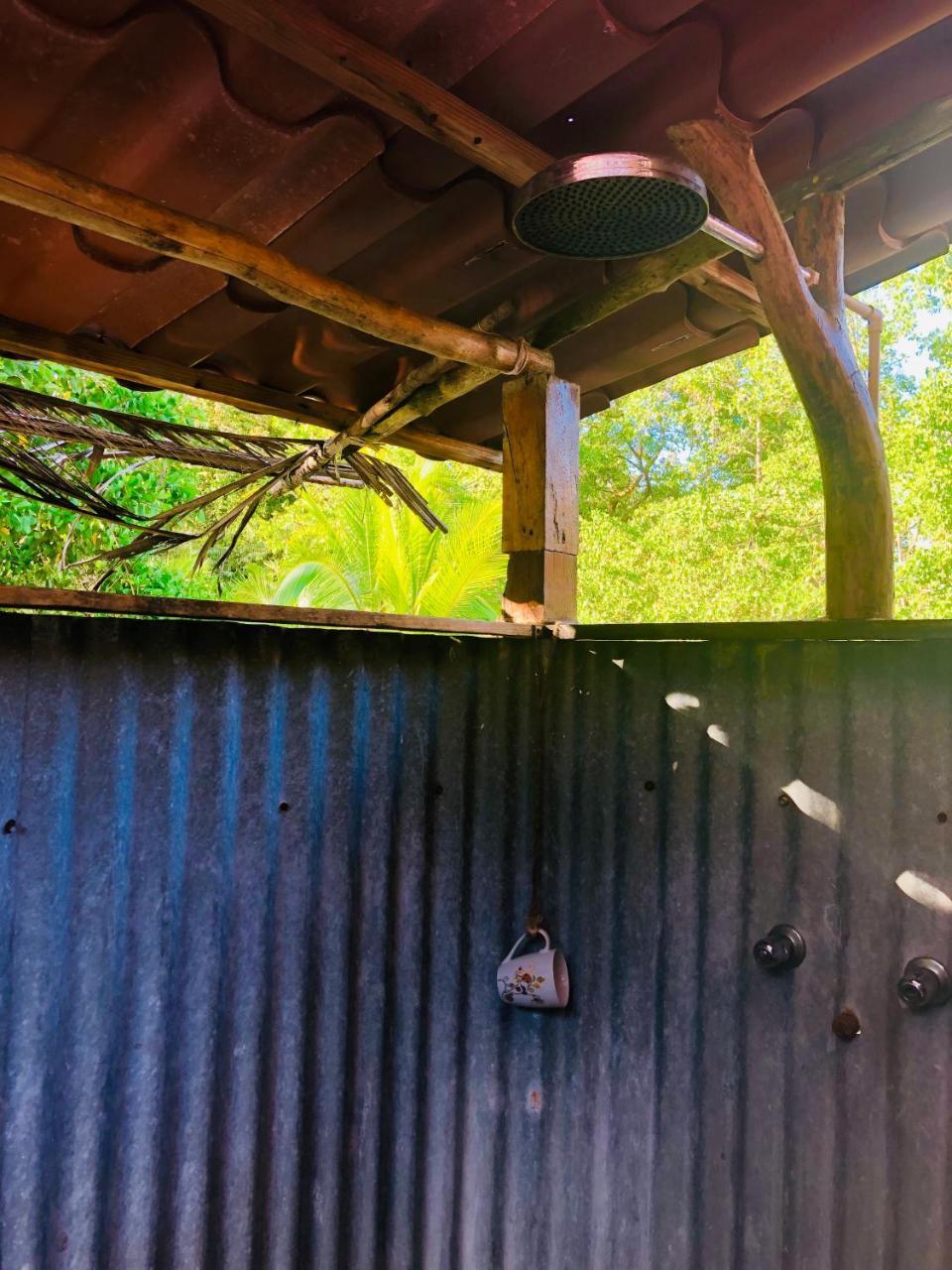 Bed and Breakfast Dolphin Bay Hideaway Bocas del Toro Exterior foto